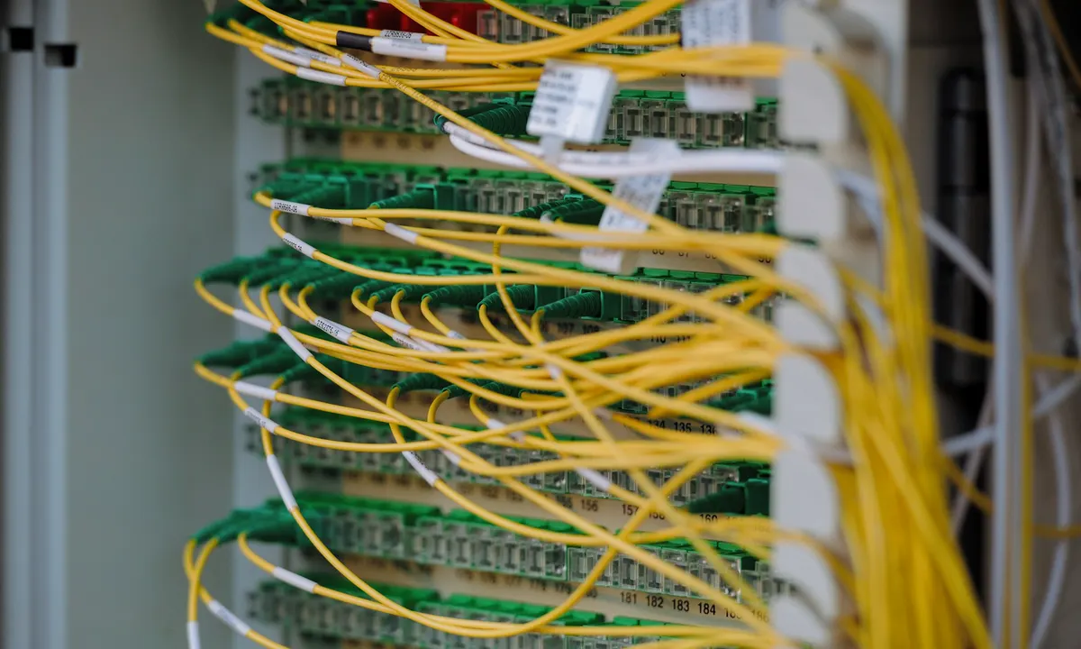 Yellow and green network cables connected to structured cabling equipment